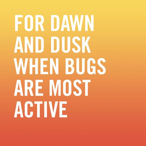 Skin So Soft Bug Guard Plus Picaridin Towelettes