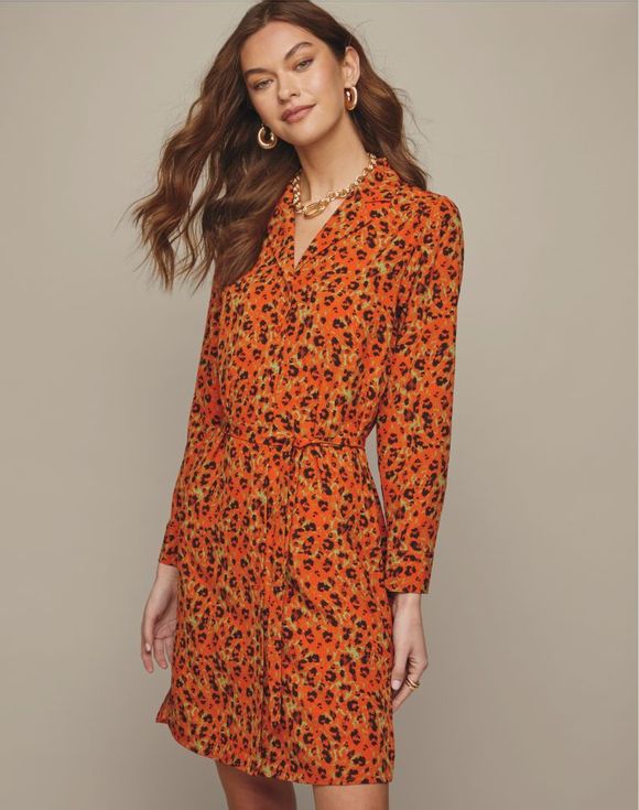Animal Print Dress - image