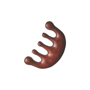 Organist Scalp Massage Gua Sha