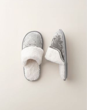 Velvet Slipper
