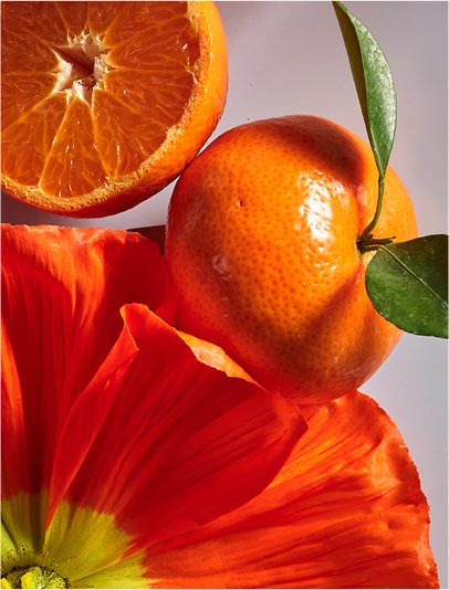 Fresca cítrica