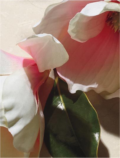 Suave floral