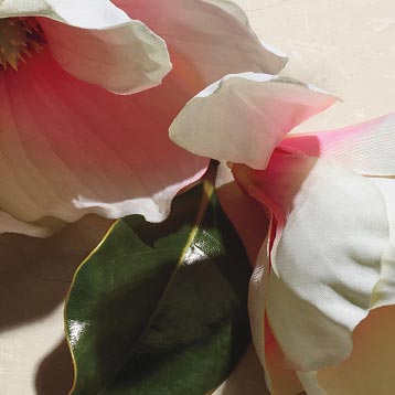 Suave floral
